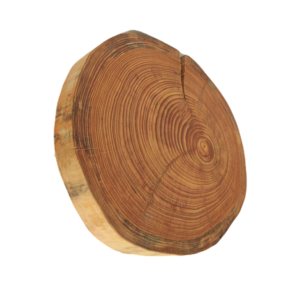 Taca Obrotowa /śr. 20-25 cm/ Drewno Modrzewia bez Kory