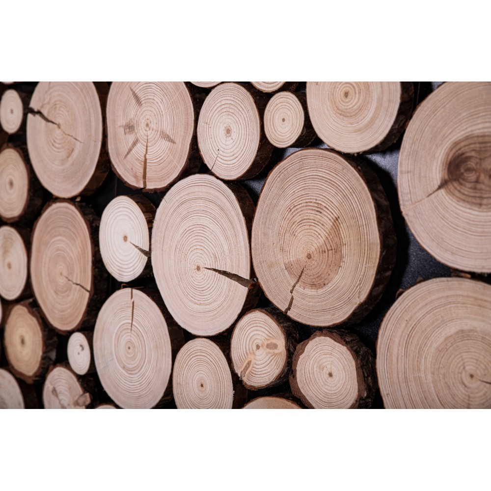 Panel Ścienny Dekoracyjny 76X38X3 cm Plastry Sosny 1 szt