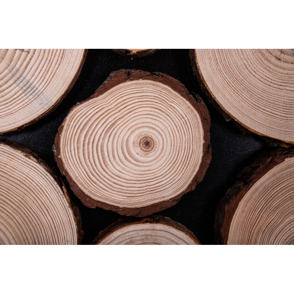 Panel Ścienny Dekoracyjny 76X38X3 cm Plastry Sosny 1 szt