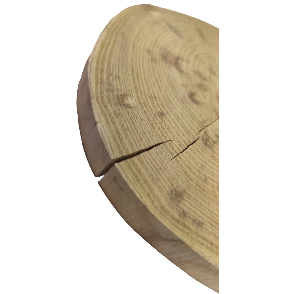Okorowany Plaster Akacji 20-25 cm/ gr. 2 cm/ Szlifowany