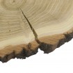 Plaster Akacji 15-20 cm/ gr. 2 cm/ Szlifowany z Korą