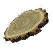 Plaster Akacji 15-20 cm/ gr. 2 cm/ Szlifowany z Korą