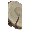 Plaster Dębu 20-25 cm/ gr. 3 cm/ Szlifowany z Korą