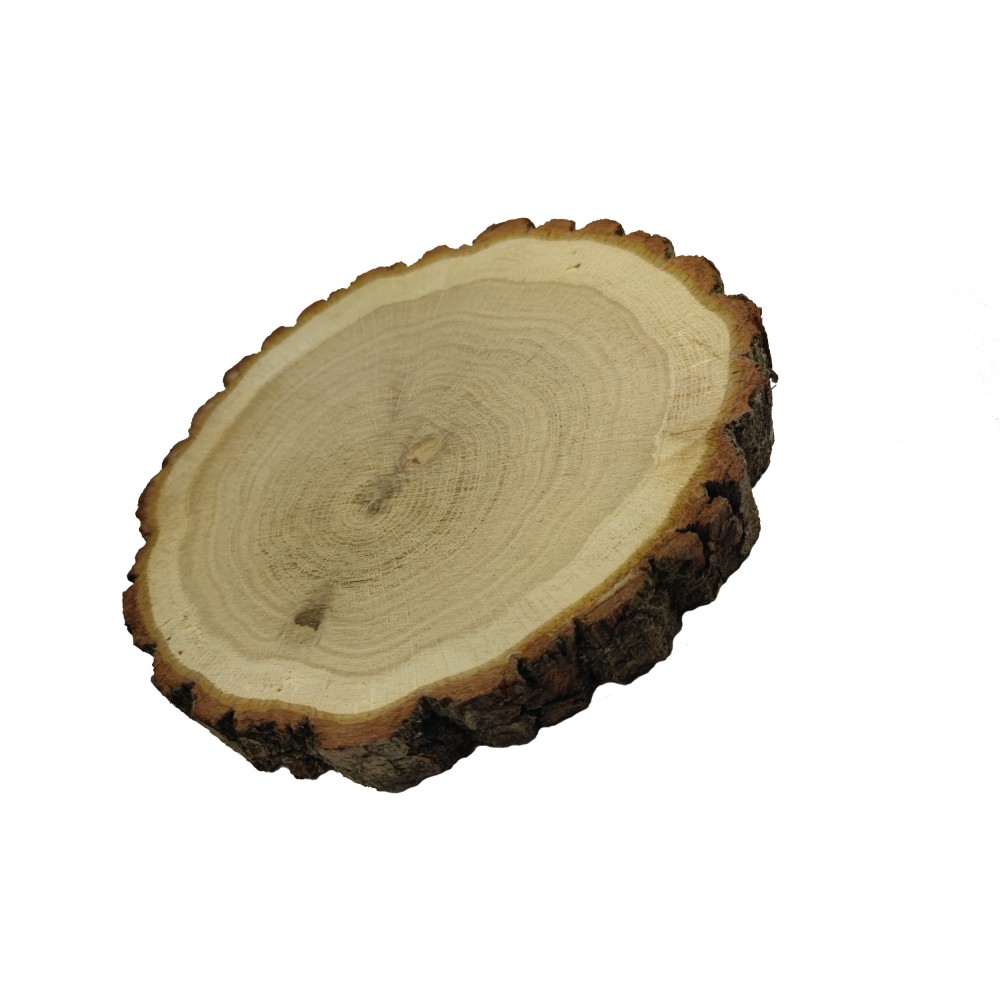 Plaster Dębu 15-20 cm/ gr. 3 cm/ Szlifowany z Korą