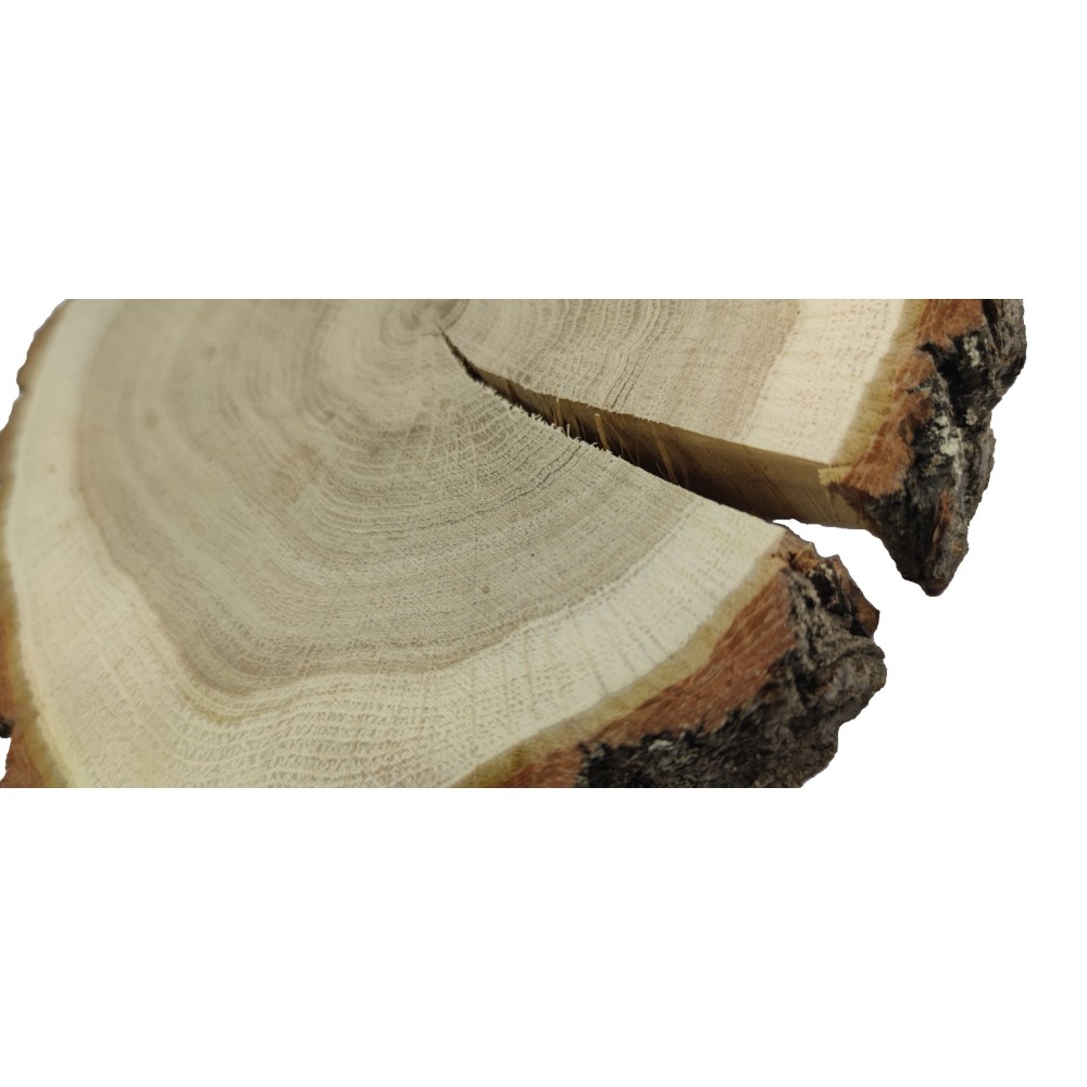 Plaster Dębu 15-20 cm/ gr. 3 cm/ Szlifowany z Korą