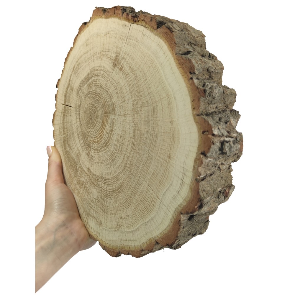 Plaster Dębu 25-30 cm/ gr. 5 cm/ Szlifowany z Korą