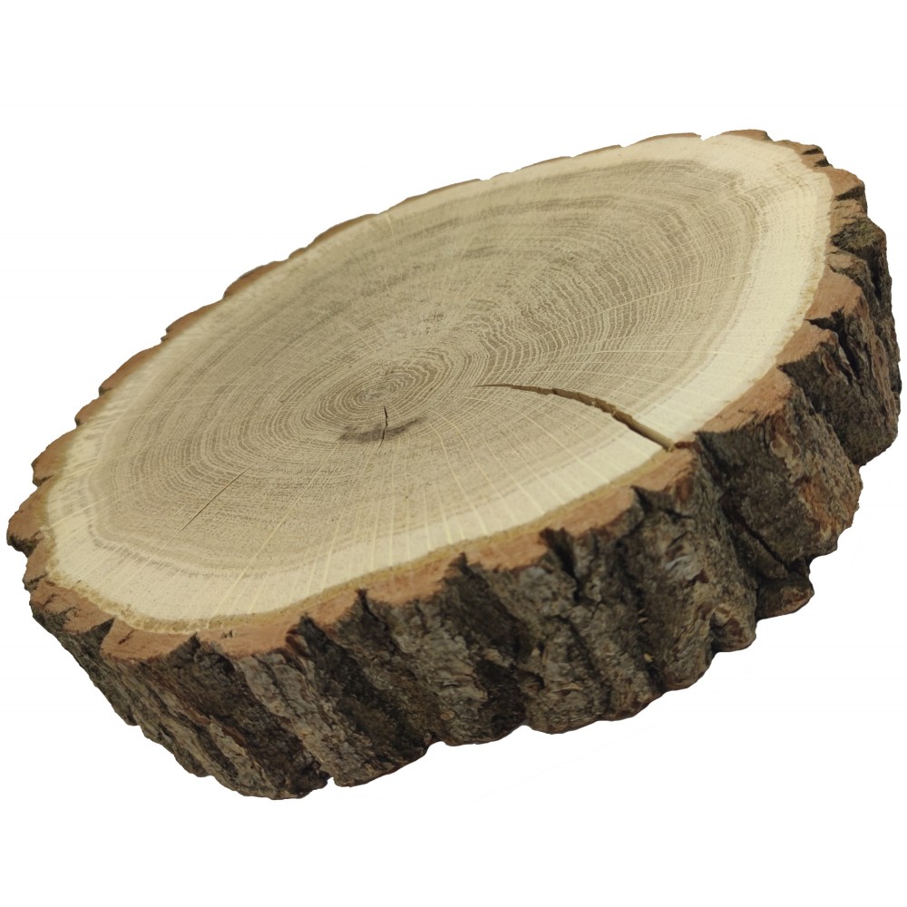 Plaster Dębu 25-30 cm/ gr. 5 cm/ Szlifowany z Korą