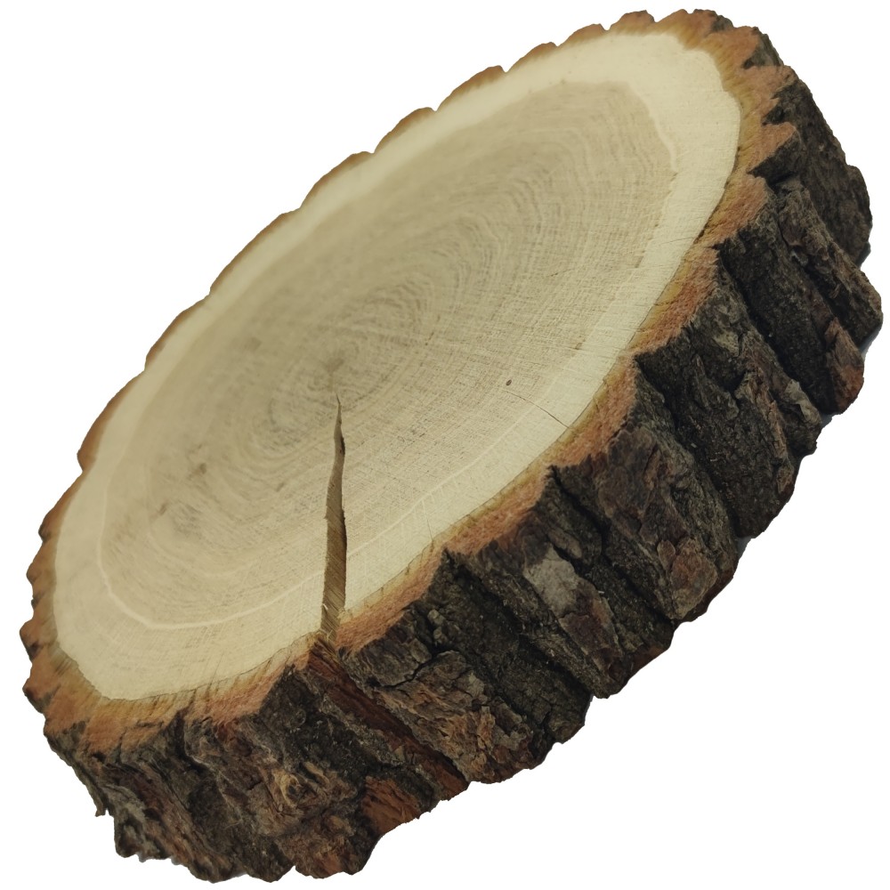 Plaster Dębu 25-30 cm/ gr. 5 cm/ Szlifowany z Korą