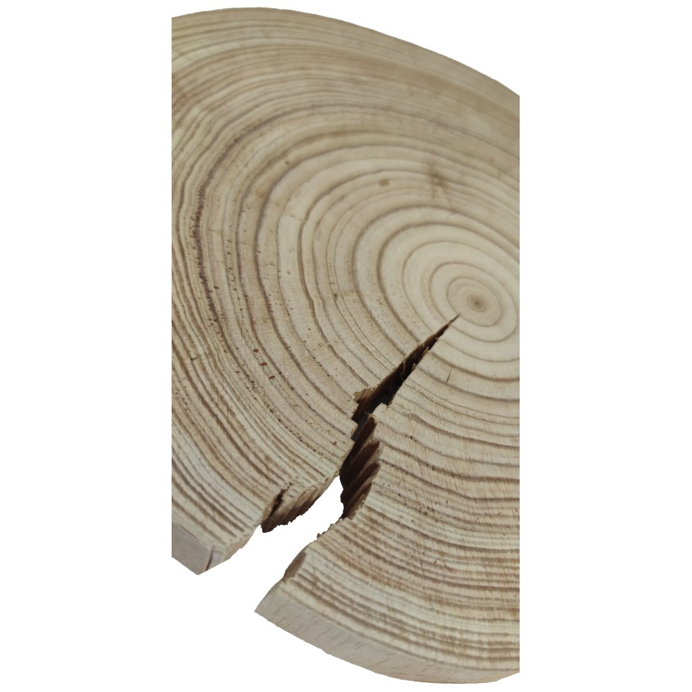 Okorowany Plaster Modrzewia 20-25 cm/ gr. 1,5 cm/ Szlifowany