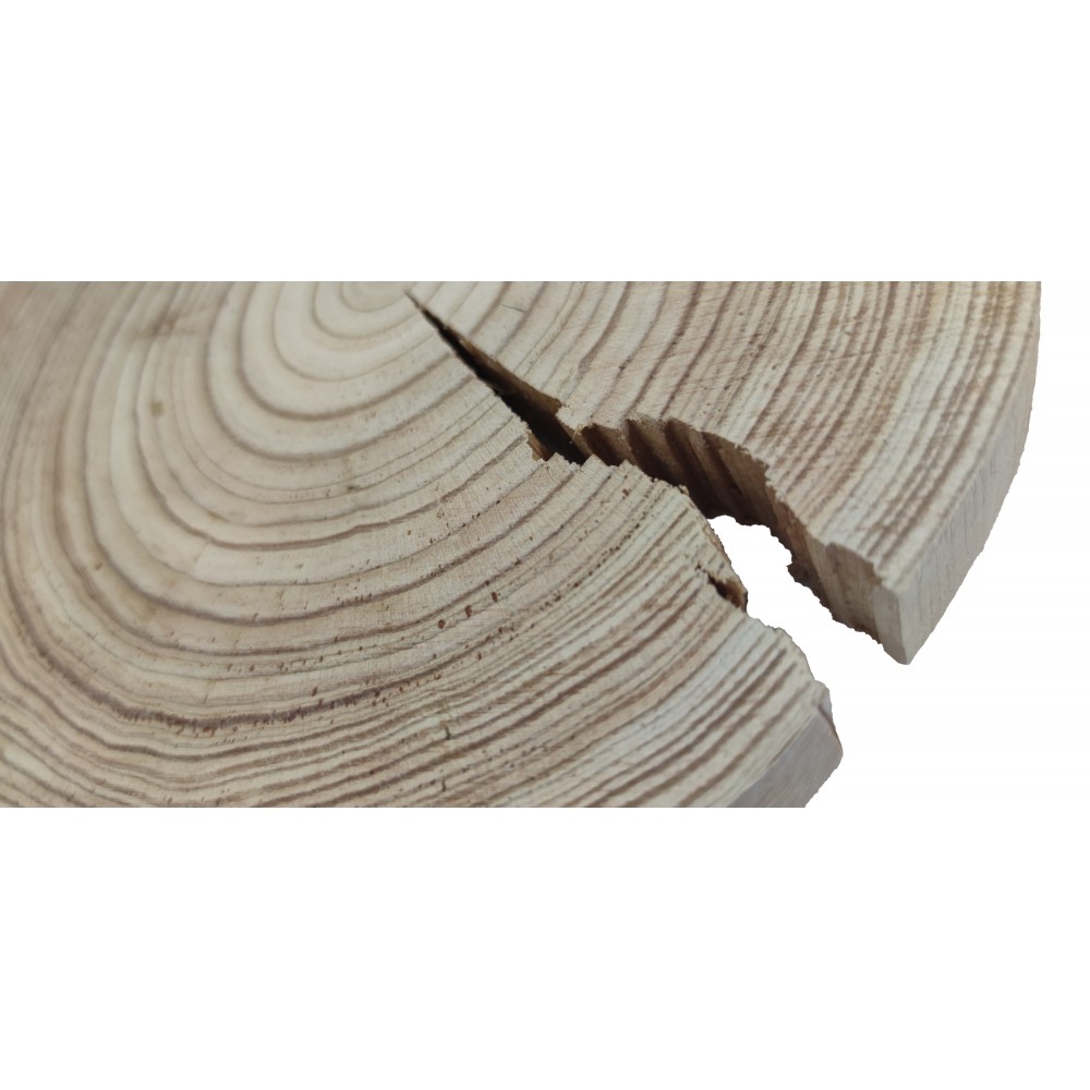 Okorowany Plaster Modrzewia 20-25 cm/ gr. 2,5 cm/ Szlifowany