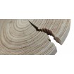 Okorowany Plaster Modrzewia 20-25 cm/ gr. 2,5 cm/ Szlifowany