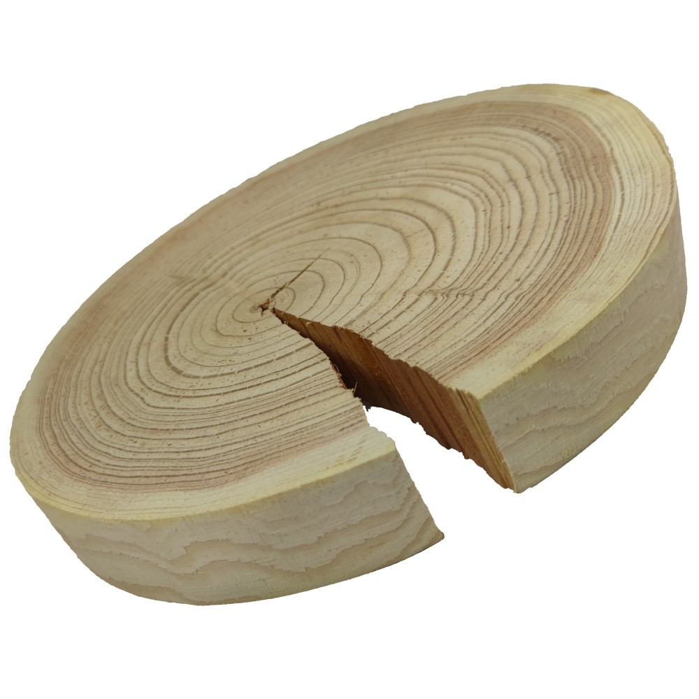 Okorowany Plaster Modrzewia 20-25 cm/ gr. 3 cm/ Szlifowany