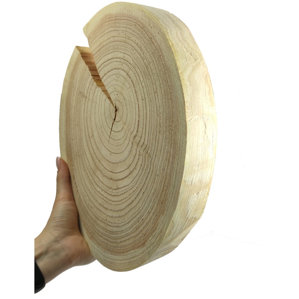 Okorowany Plaster Modrzewia 20-25 cm/ gr. 3 cm/ Szlifowany