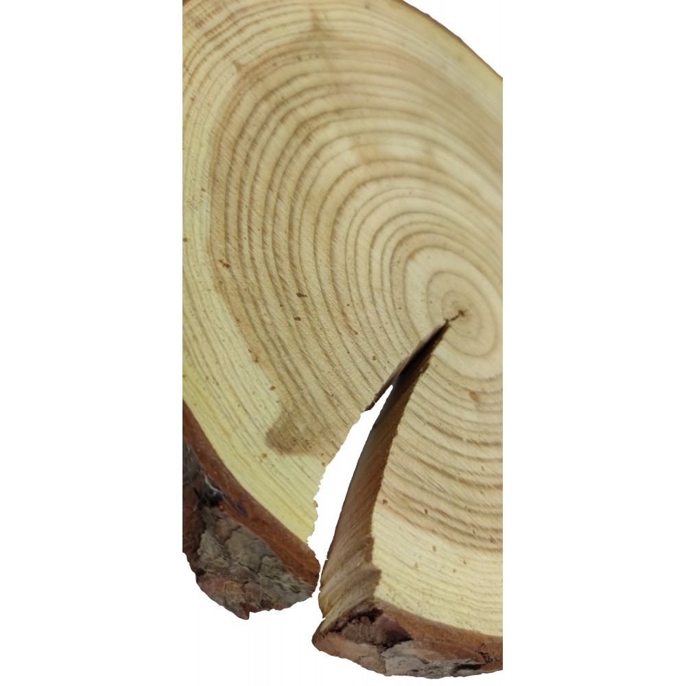 Plaster Modrzewia 20-25 cm/ gr. 4 cm/ Szlifowany z Korą
