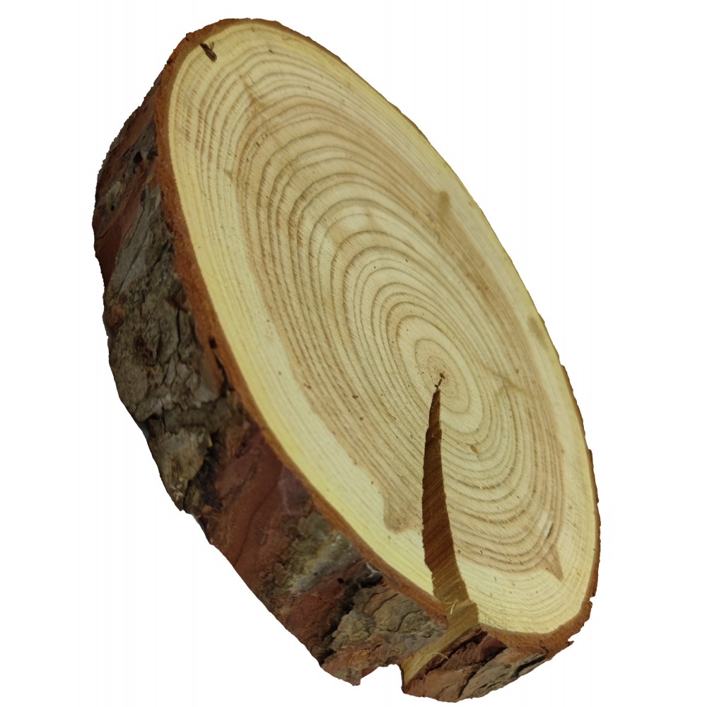 Plaster Modrzewia 20-25 cm/ gr. 4 cm/ Szlifowany z Korą
