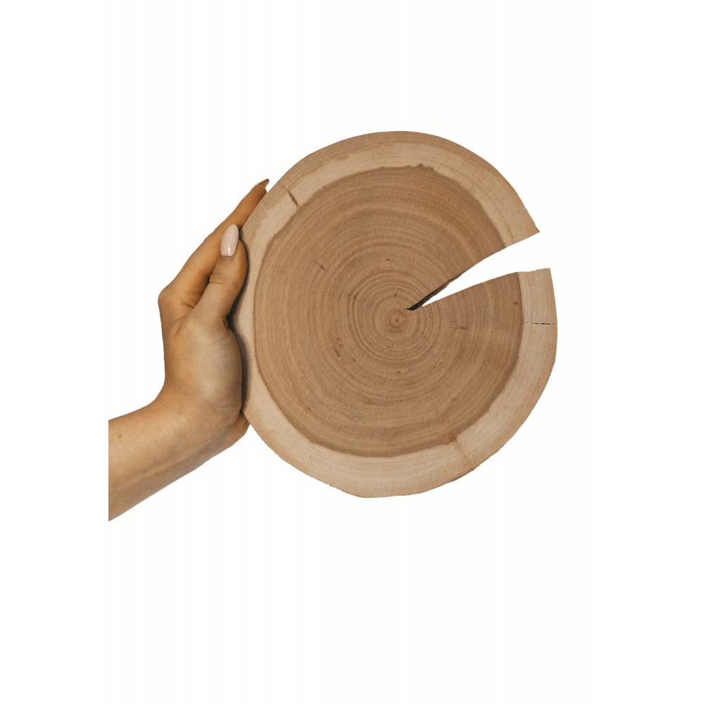 Okorowany Plaster Czeremchy 20-25 cm/ gr. 2 cm/ Szlifowany