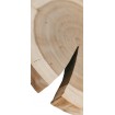 Okorowany Plaster Czeremchy 20-25 cm/ gr. 2 cm/ Szlifowany