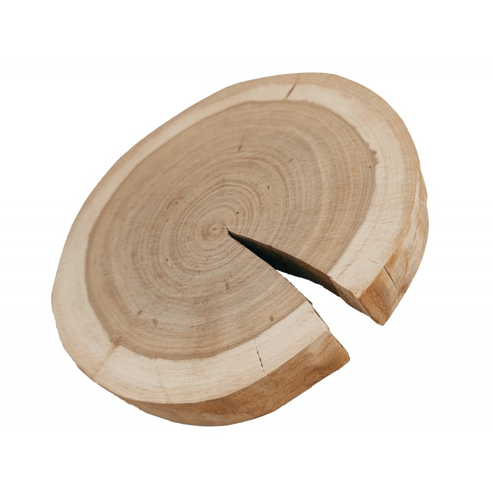 Okorowany Plaster Czeremchy 20-25 cm/ gr. 2 cm/ Szlifowany