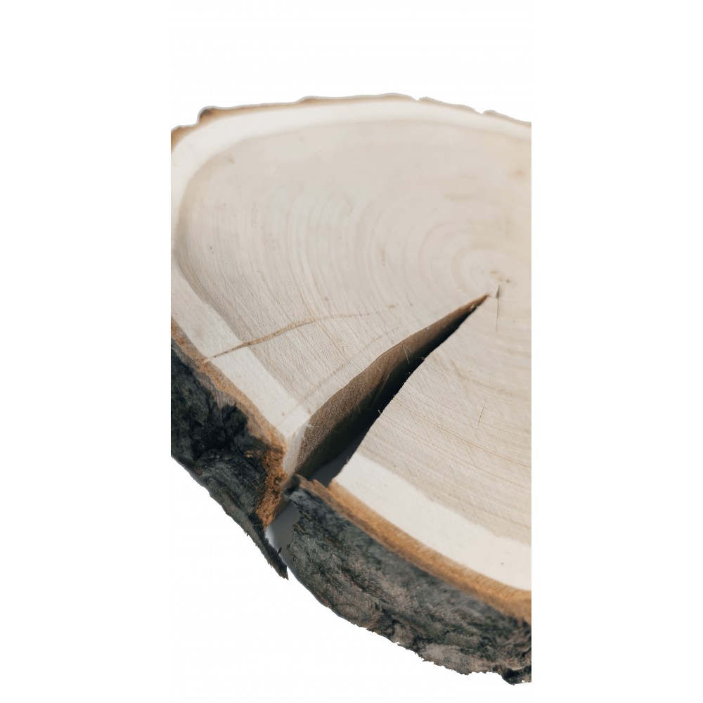 Plaster Czeremchy 15-20 cm/ gr. 3 cm/ Szlifowany z Korą