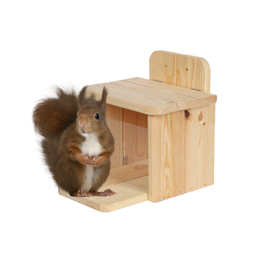 Drewniany karmnik dla wiewiórek - Naturalny