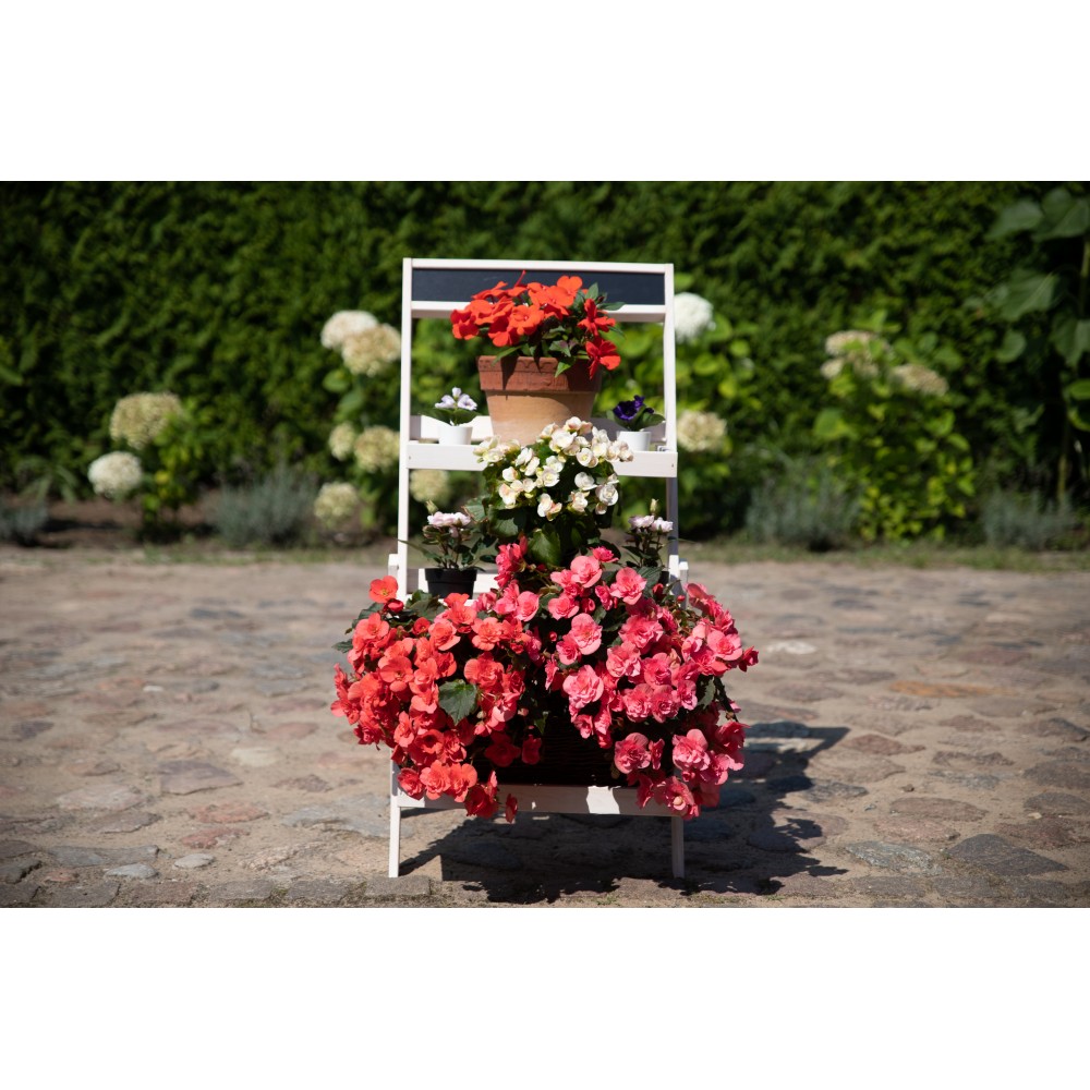 Drewniana etażerka na kwiaty /100x52x52 cm/ Wykończenie Białe