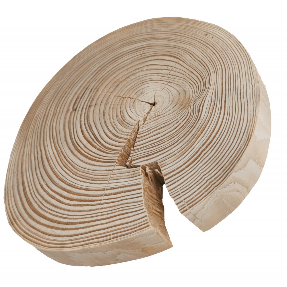 Okorowany Plaster Sosny 15-20 cm/ gr. 3 cm/ Szlifowany