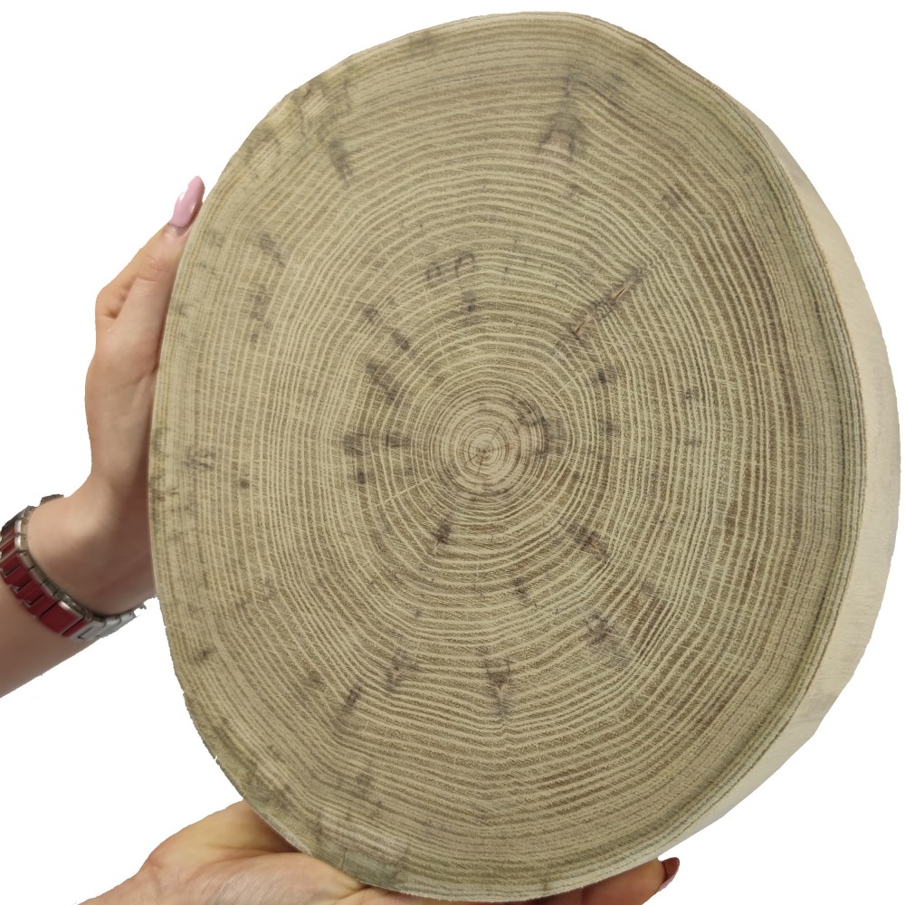 Okorowany Plaster Akacji 20-25 cm/ gr. 3 cm/ Szlifowany