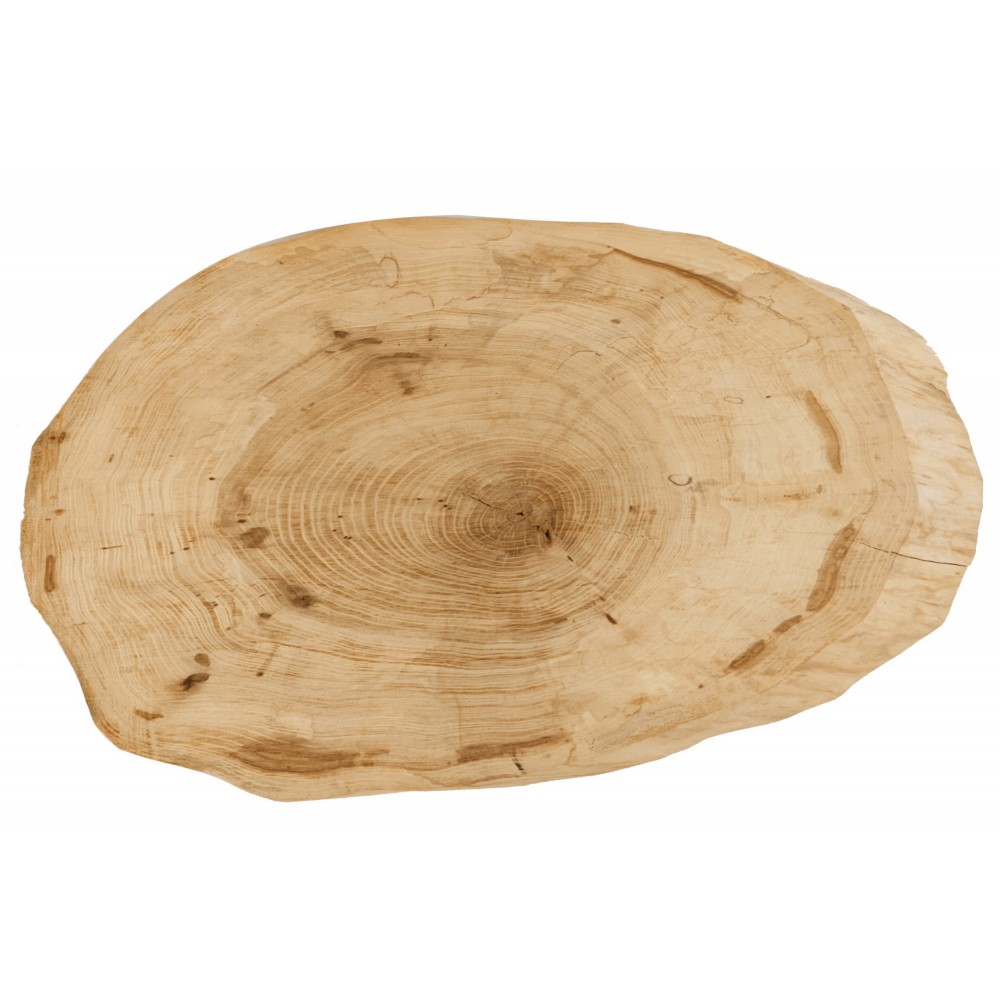 Okorowany Plaster Wiązu 50-55 cm/ gr. 5 cm/ Szlifowany