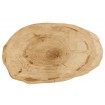 Okorowany Plaster Wiązu 50-55 cm/ gr. 5 cm/ Szlifowany