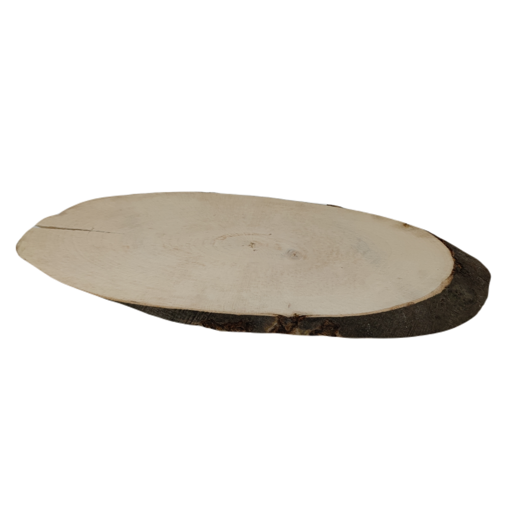 Okorowany Plaster Bukowy 50-55 cm/ gr. 2 cm/ Szlifowany