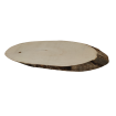 Okorowany Plaster Bukowy 50-55 cm/ gr. 2 cm/ Szlifowany