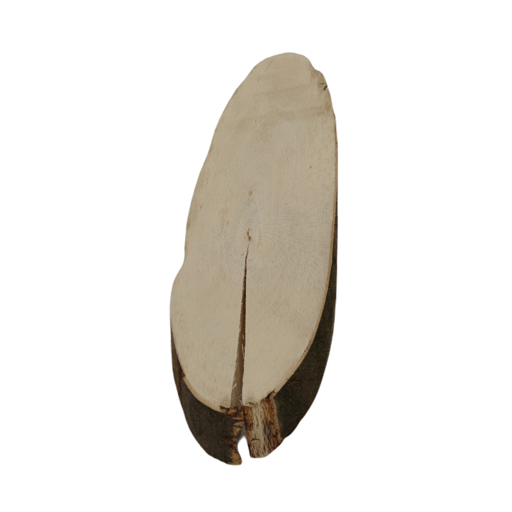 Okorowany Plaster Bukowy 50-55 cm/ gr. 2 cm/ Szlifowany