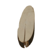 Okorowany Plaster Bukowy 50-55 cm/ gr. 2 cm/ Szlifowany