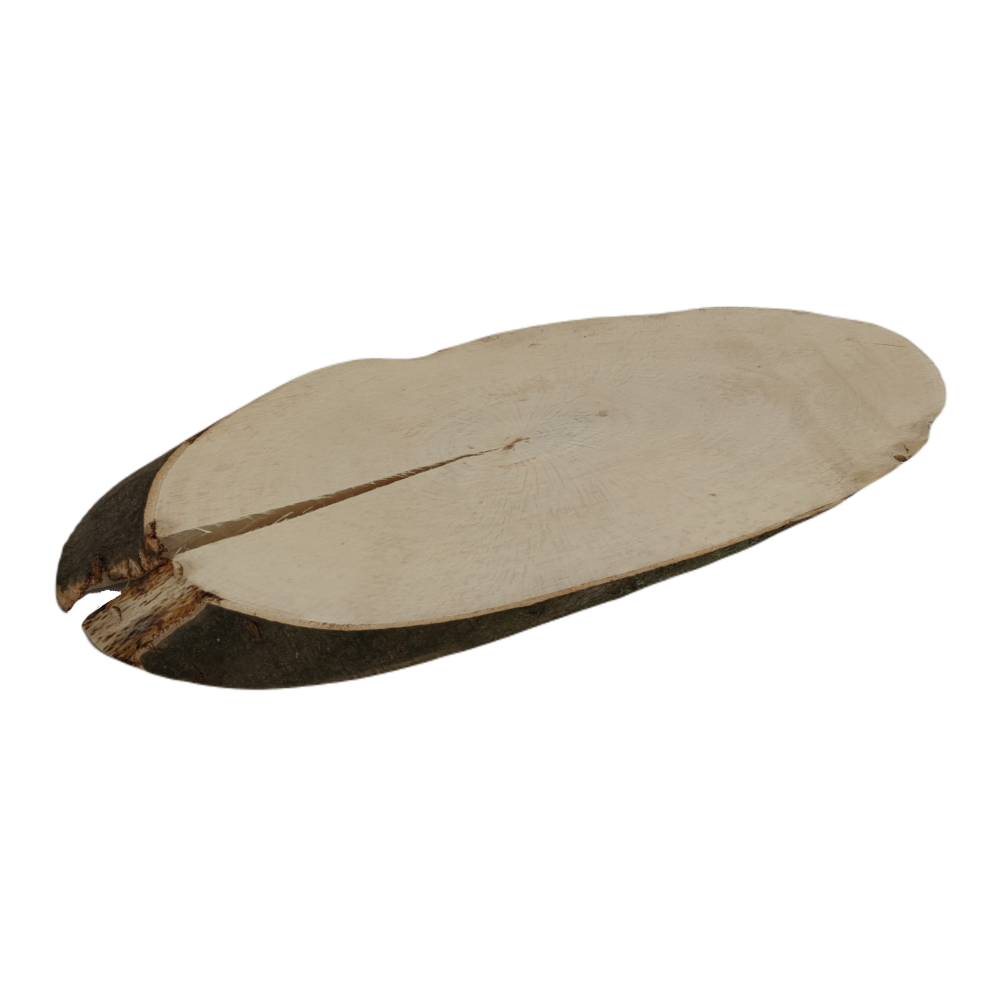 Okorowany Plaster Bukowy 50-55 cm/ gr. 2 cm/ Szlifowany