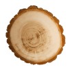 PLASTER DREWNA 20-25 cm Z KORĄ krążek dewniany