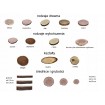 PLASTER DREWNA TOPOLI BLAT NA STOLIK KAWOWY 090505