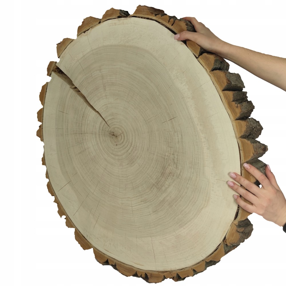 PLASTER DREWNA TOPOLI BLAT na stolik kawowy 144441