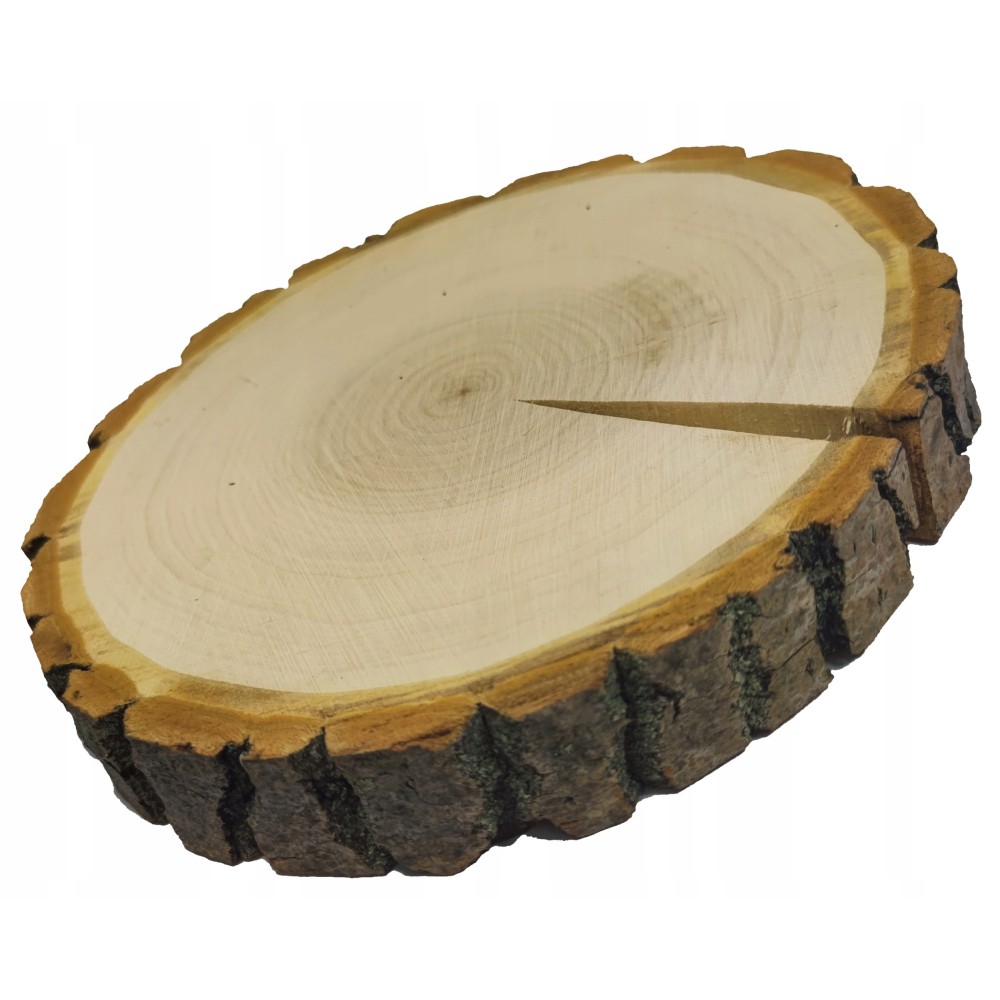 PLASTER DREWNA 30-35 cm Z KORĄ krążek drewna