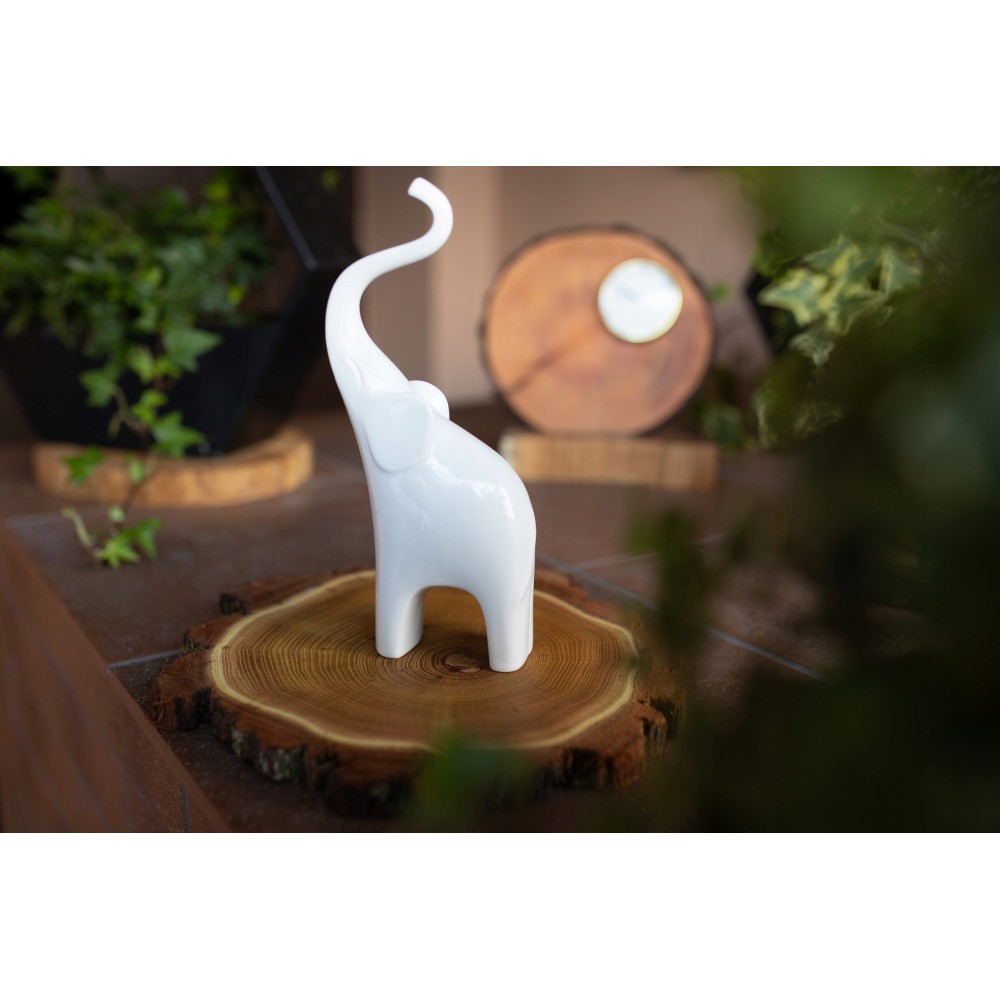 PLASTER DREWNA 30-35 cm Z KORĄ krążek drewna