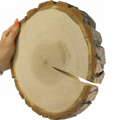 PLASTER DREWNA 25-30 cm krążek drewniany z korą