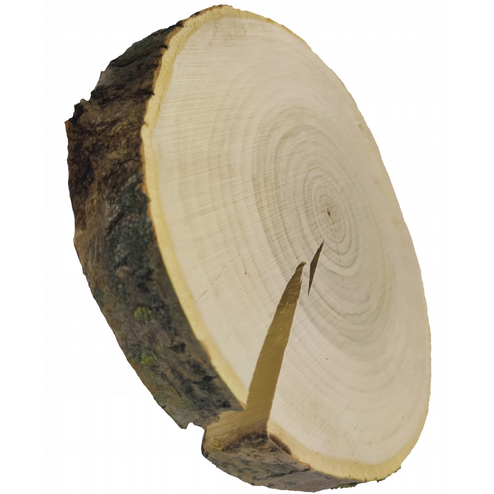 PLASTER DREWNA 25-30 cm krążek drewniany z korą