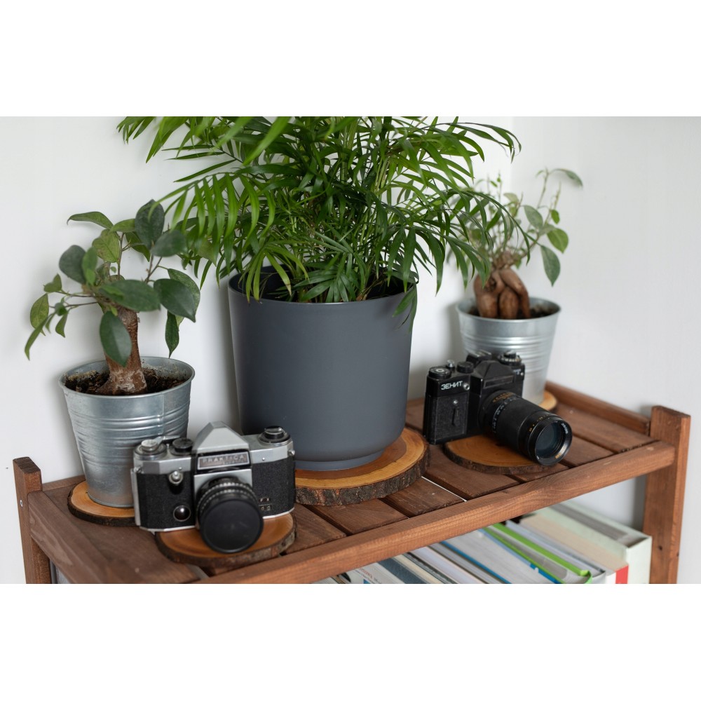 Taca z uchwytami olejowana taca drewniana dębowa plaster DĄB 40-45cm deska