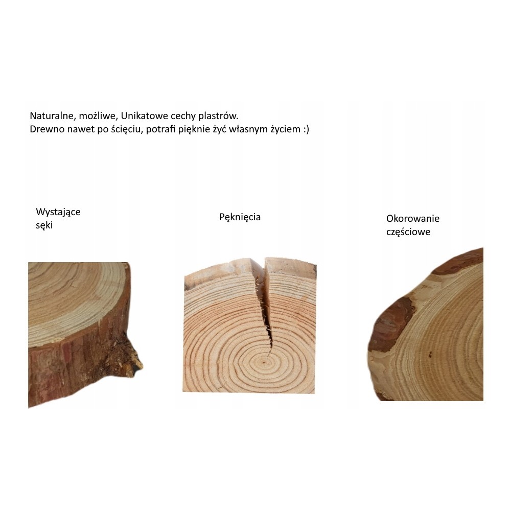 Plaster drewna topoli blat drewniany na stolik kawowy TOPOLA UNIKAT 150146