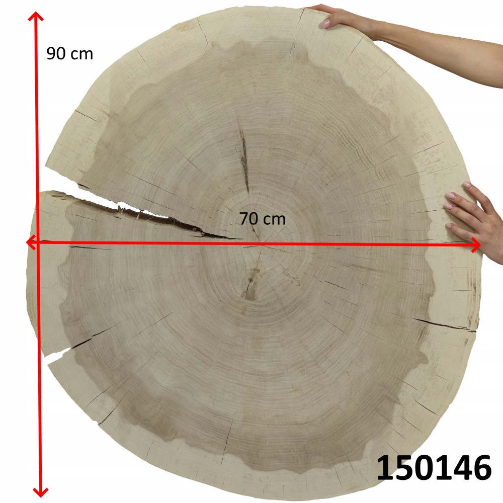 Plaster drewna topoli blat drewniany na stolik kawowy TOPOLA UNIKAT 150146