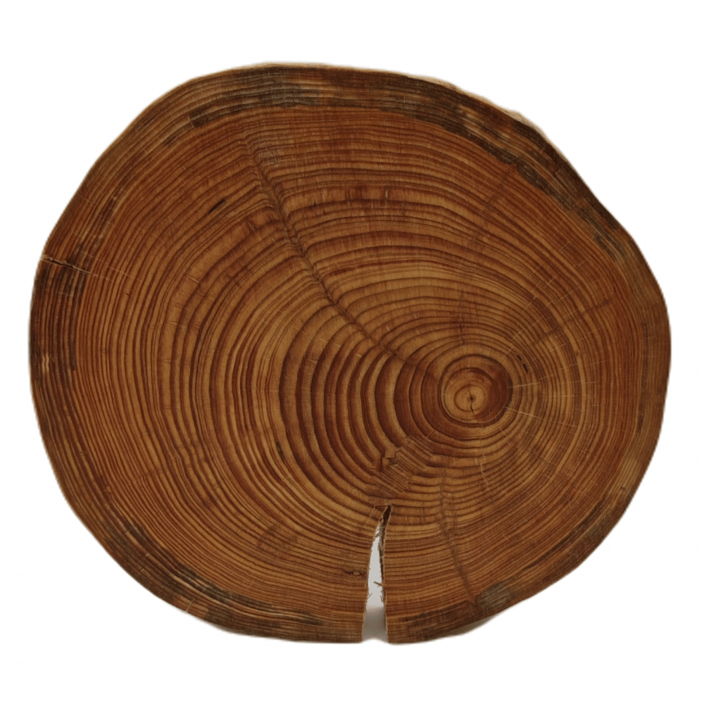 Drewniana taca obrotowa deska MODRZEW plaster 20-25 cm na przekąski ser EKO