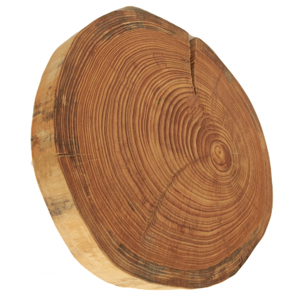 Drewniana taca obrotowa deska MODRZEW plaster 20-25 cm na przekąski ser EKO