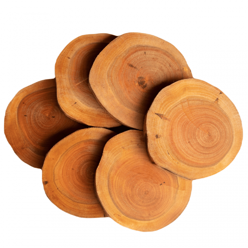 Podkładki podstawki pod filiżanki na stół drewniane CZEREMCHA 9-12cm 6 szt