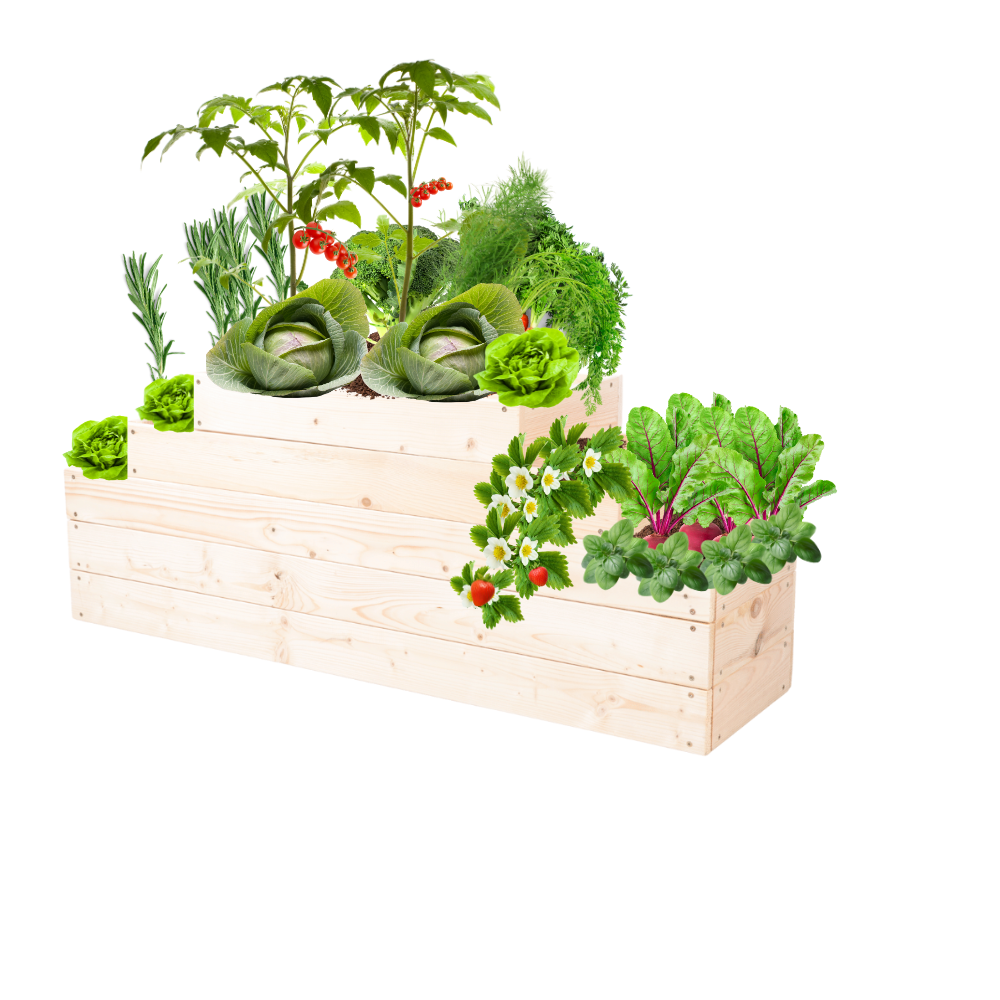 Skrzynia na warzywa kaskadowa skrzynie na warzywniak regulacja 45x117x30