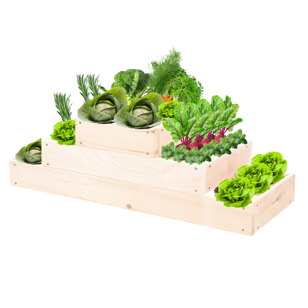 Skrzynia na warzywa regulowana skrzynie na warzywniak inspekt 27x90x30