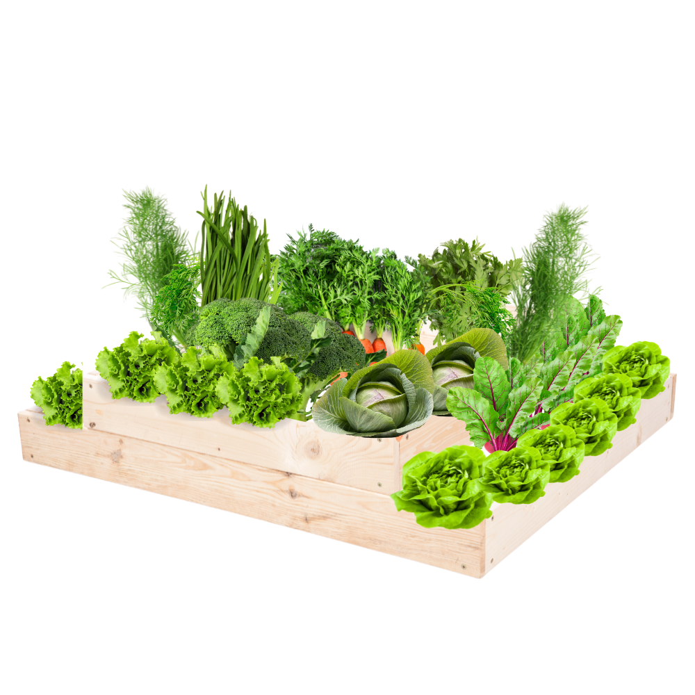 Skrzynia na warzywa regulowana skrzynie na warzywniak inspekt 18x90x90